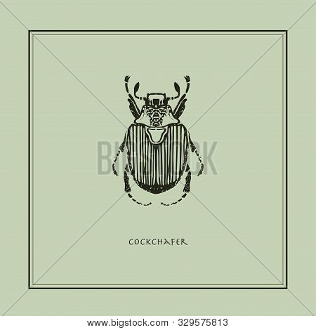 Cockchafer On A Beige Background In A Realistic Style. Drawn. Perfect For Printing, Interior, Poster