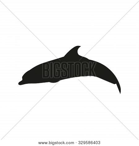 Jumping Dolphin Silhouette, Vector In Flat Style