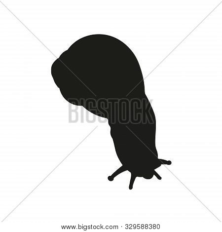 Garden Snail, Vector Image In Flat Style