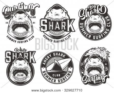 Vintage Summer Surfing Club Labels Set With Angry Sharks Surfboard Sea Waves And Shark Fin In Monoch