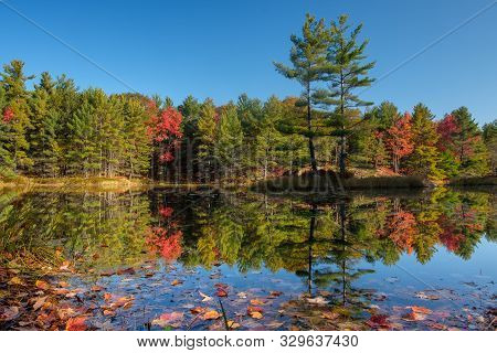 Stunning Fall Colors Of Kawartha Lakes - Autumn Foliage And Leafs