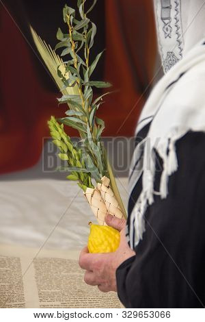 One Celebrates In Talit With Lulav With The Back, Jewish Holidays, Etrog, Sukkot, Tabernacle, Jewish