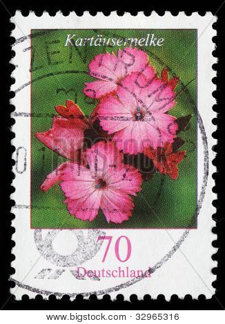 Németország - kb 2006: A Németországi Szövetségi Köztársaság nyomtatott bélyegző látható Dianthus carthusianor