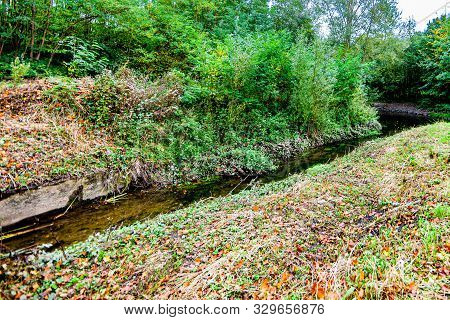 Brook In The Forest With Great Vegetation And Dry Leaves, Day At The Beginning Of The Autumn In Schi