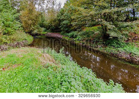 River In Forest Flowing Calmly With Reflection In The Water, Between Trees And Vegetation, Day At Th