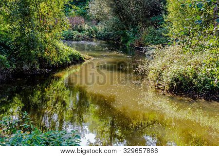River Flowing Calmly With Reflection In The Water Surrounded By Great Vegetation In The Middle Of Th