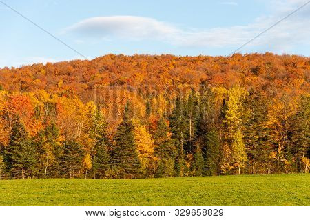 Trees With Autumn Foliage At Sunset In The Quebec Countryside