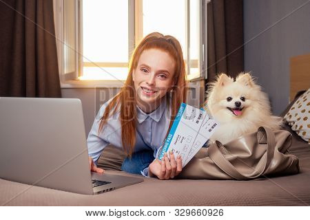 Happy Redhaired Ginger Woman Lying Down In Bed With Her Cute White Fluffy Dog Spitz In Travel Bag Ca