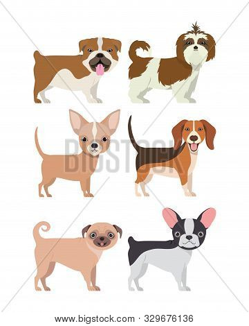 Bundle Of Dog Breeds Group Vector Illustration Design