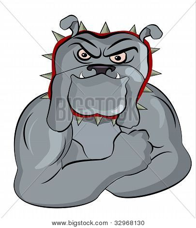 Bull Dog posant