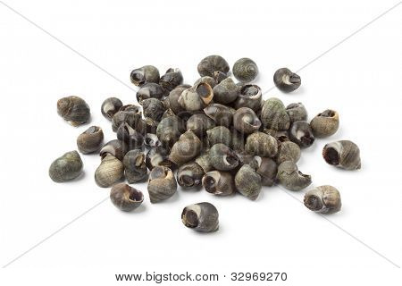Friss közös periwinkles, a fehér háttér