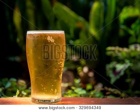 A Glass Of Light Yellow Beer Against A  Tropical Garden