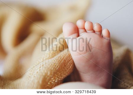Babys Feet, Fingers Close Up. Newborn Baby Legs, Massage Concept Of Childhood, Health Care, Ivf, Hyg