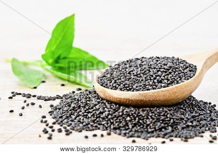 Hoary Basil Seeds In Wooden Spoon With Green Leaves.