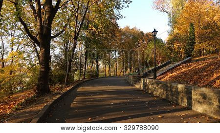 Road In The Park In Autumn At Sunset