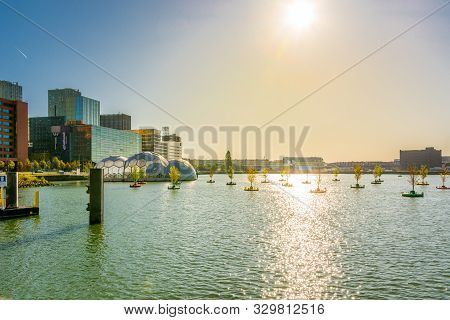 Rotterdam, Netherlands, September 2019: View On The Trees On The Water, Or Dobberend Bos Or Bobbing 