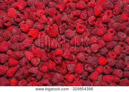 Background-texture Of Red Overripe Raspberry Rubus Idaeus. Ripe Raspberry In Close-up. Soft Selectiv