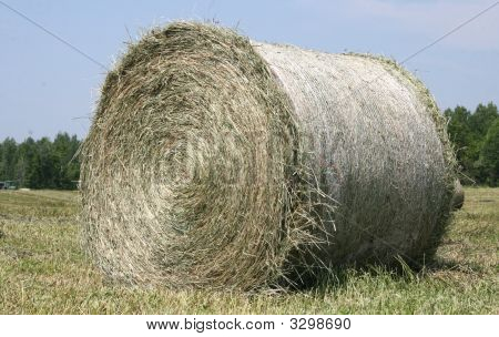 Balas redondas de heno