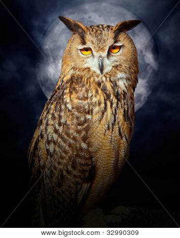 Bubo bubo Bubo noite ave nublado dramática noite de lua cheia
