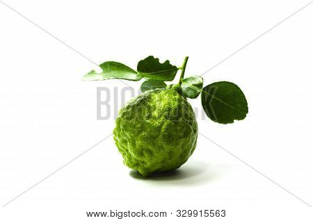 Green Fresh Bergamot Fruit Bergamia With Leaf Isolated On White Background