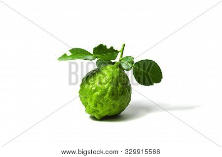 Green Fresh Bergamot Fruit Bergamia With Leaf Isolated On White Background