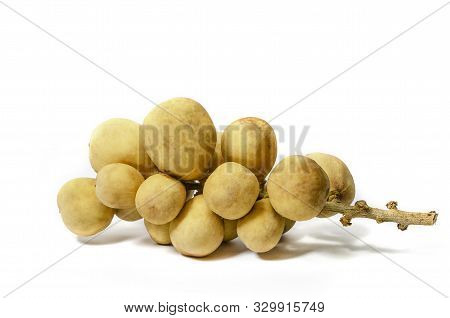 Group Of Longkong Is Fruit Southern Asian Thai Sweet Flavor On White Background
