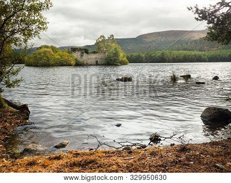 Ruin In Rothiemurchus Forest In The Cairngorms Scotland