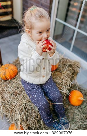 Adorable Smiling Caucasian Baby Toddler In White Knittes Jacket Sitting On The Haystack With Pumpkin