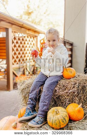 Adorable Smiling Caucasian Baby Toddler In White Knittes Jacket Sitting On The Haystack With Pumpkin