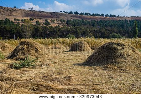 Rural Landscape With Straw