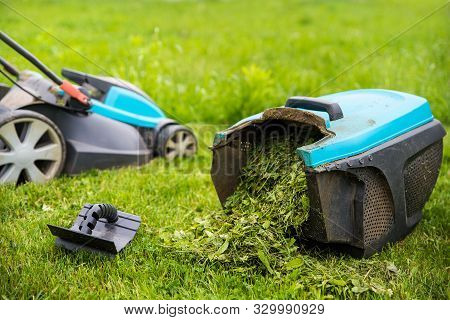 Lawn Mower Machine In Garden, Grass Box Filled With Grass. Garden And Lawn Care Theme