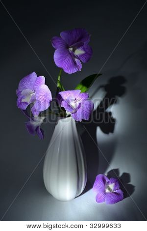 Orchidej