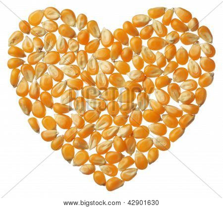 Heart Of Popcorn Kernels Isolated On White Background