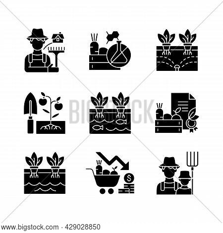 Farming Black Glyph Icons Set On White Space. Agricultural Business. Rural Area. Crop Quality Contro