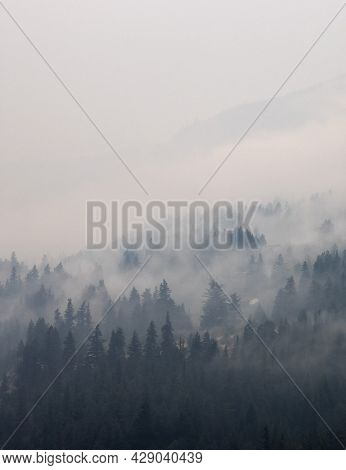 Trees On The Side Of A Mountain In A Valley Covered By Smoke From Forest Wildfire. Nature Disaster. 