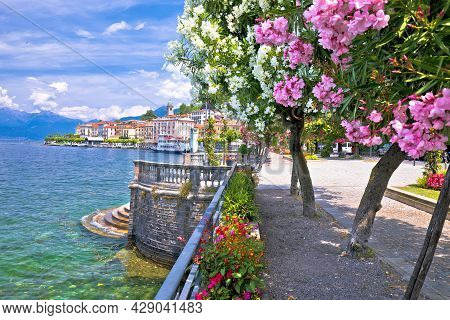 Town Of Belaggio Lungolago Europa Famous Flower Lakefront Walkway, Como Lake, Lombardy Region Of Ita