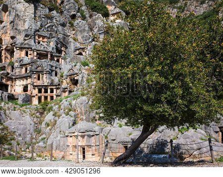Ruins of Myra Ancient City and big fruit tree in Demre, Turkey. Ancient rock tombs in Lycia region, Antalya