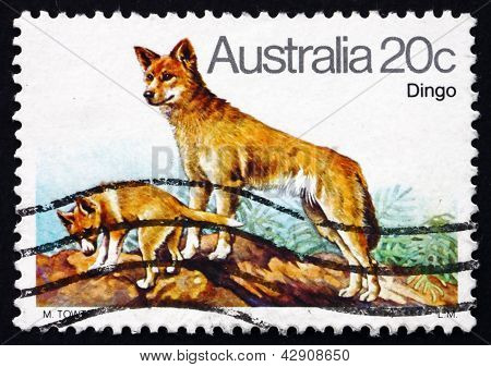 Selo postal Austrália 1980 Dingo, cão selvagem australiano
