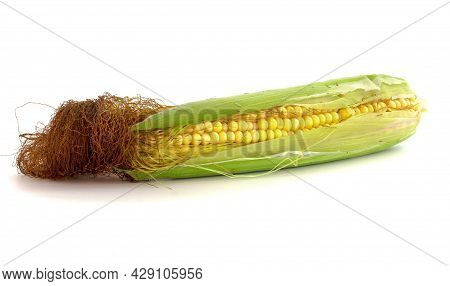 Fresh Corn Cob On White Isolated Background With Clipping Path.