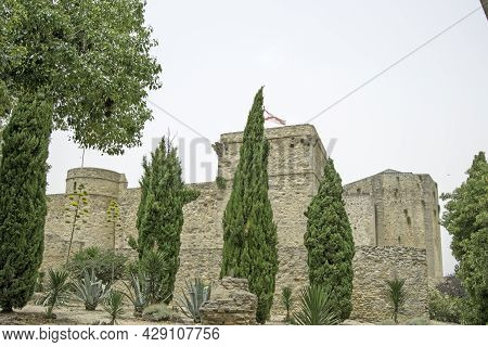 Panoramic View Of The Castle Of Santiago In Sanlucar De Barrameda With A Tree In Front, Cadiz, Andal