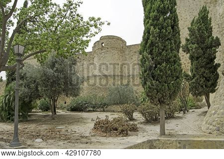 Trees In Front Of The Castillo De Santiago In Sanlucar De Barrameda, Cadiz, Andalusia, Spain