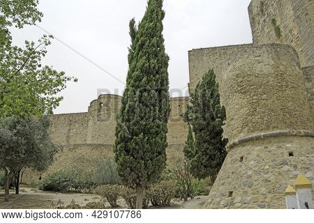 Trees In Front Of The Towers Of The Castillo De Santiago In Sanlucar De Barrameda, Cadiz, Andalusia,