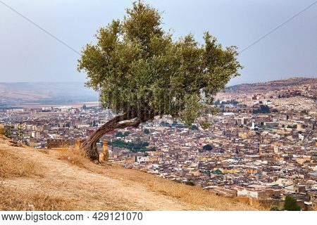 View Of The Fez El Bali Medina. Is The Oldest Walled Part Of Fez, Morocco. Fes El Bali Was Founded A