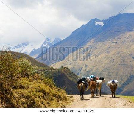 Na estrada nos Andes
