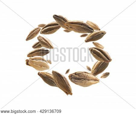 Barley Malt Grains Levitate On A White Background