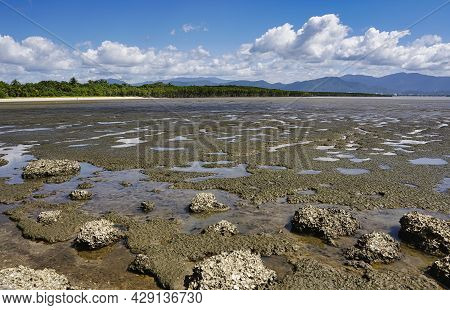 View Of The Mud Flats On Pine Creek Yarrabah , Trinity Inlet View Facing Towards Cairns