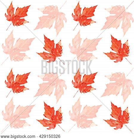 Orange Maple Leaf Bright Watercolor Texture Seamless Pattern. Vector Autumn Fall Background. Backdro