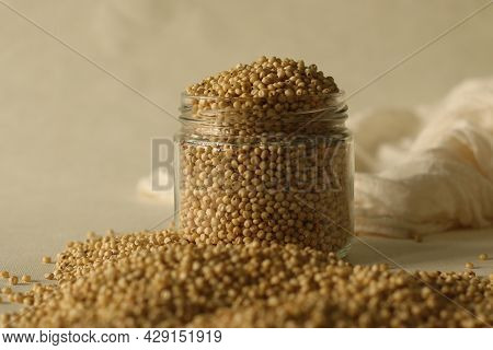 Sorghum And Also Known As Great Millet, Durra, Jowari, Jowar, Milo Is A Grass Grain