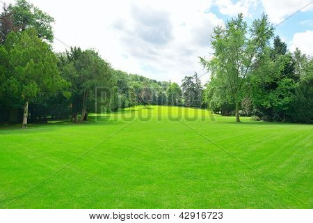 Vackra äng i parken