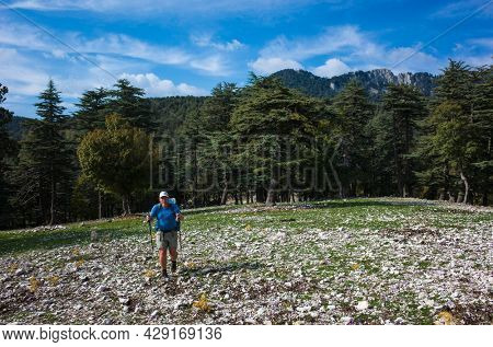 Man hiking out from coniferous forest into an open clearing strewn with stones, Trekking Lycian Way, Trail from Alakilise Ruins to Finike, Outdoor activity, eco tourism in Turkey